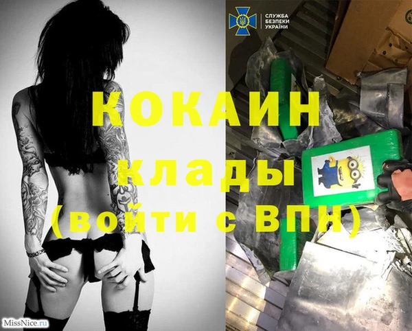 mix Няндома