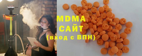 индика Богданович