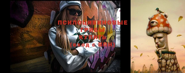 прущая мука Осташков