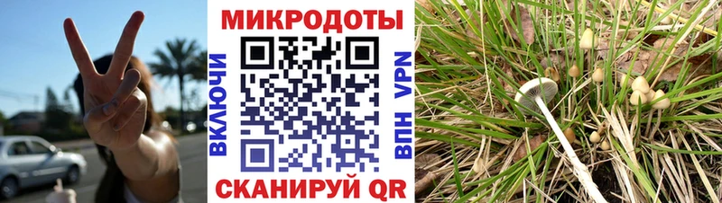 Псилоцибиновые грибы MAGIC MUSHROOMS  магазин продажи наркотиков  площадка формула  Рославль 
