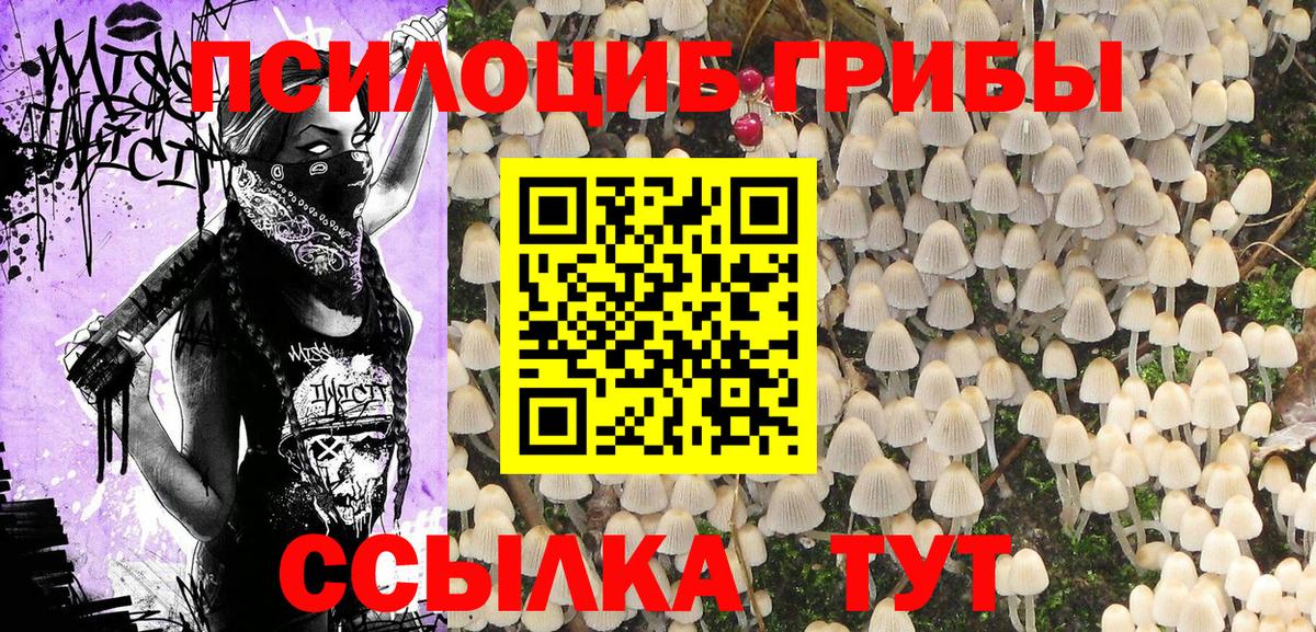 Галлюциногенные грибы ЛСД  Рославль  Псилоцибиновые грибы Magic Shrooms 