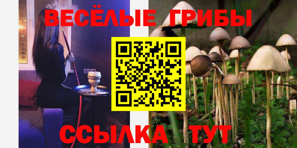 Псилоцибиновые грибы мухоморы Рославль
