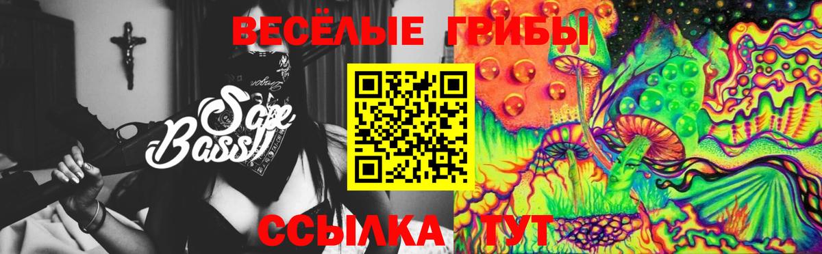 Галлюциногенные грибы мицелий  Вход с VPN  Галлюциногенные грибы прущие грибы  Рославль 